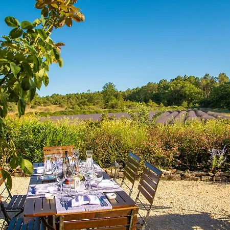Domaine Du Frigoulet