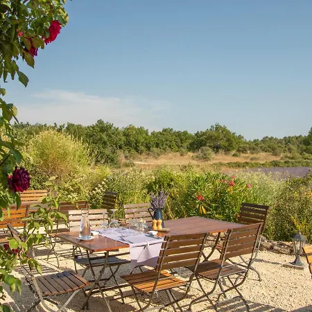 Domaine Du Frigoulet Hotel